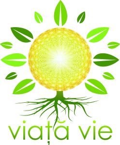 logo VV_RGB